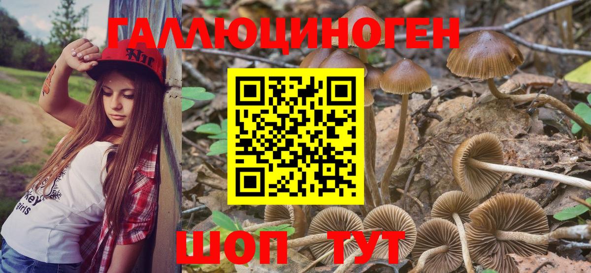 Урус-Мартан  купить закладку  Вход с VPN  Галлюциногенные грибы Magic Shrooms 